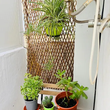 Appartement Alcala